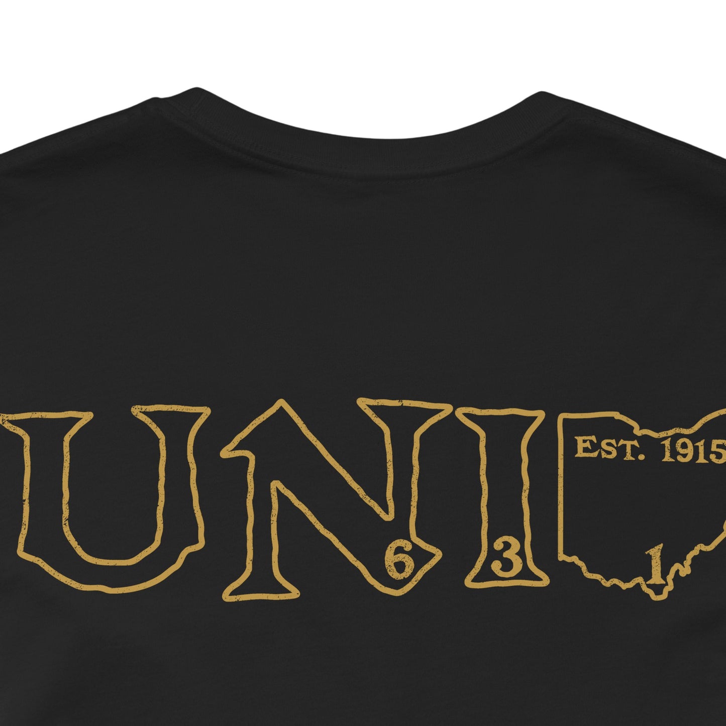 University Lodge 631 Design on back