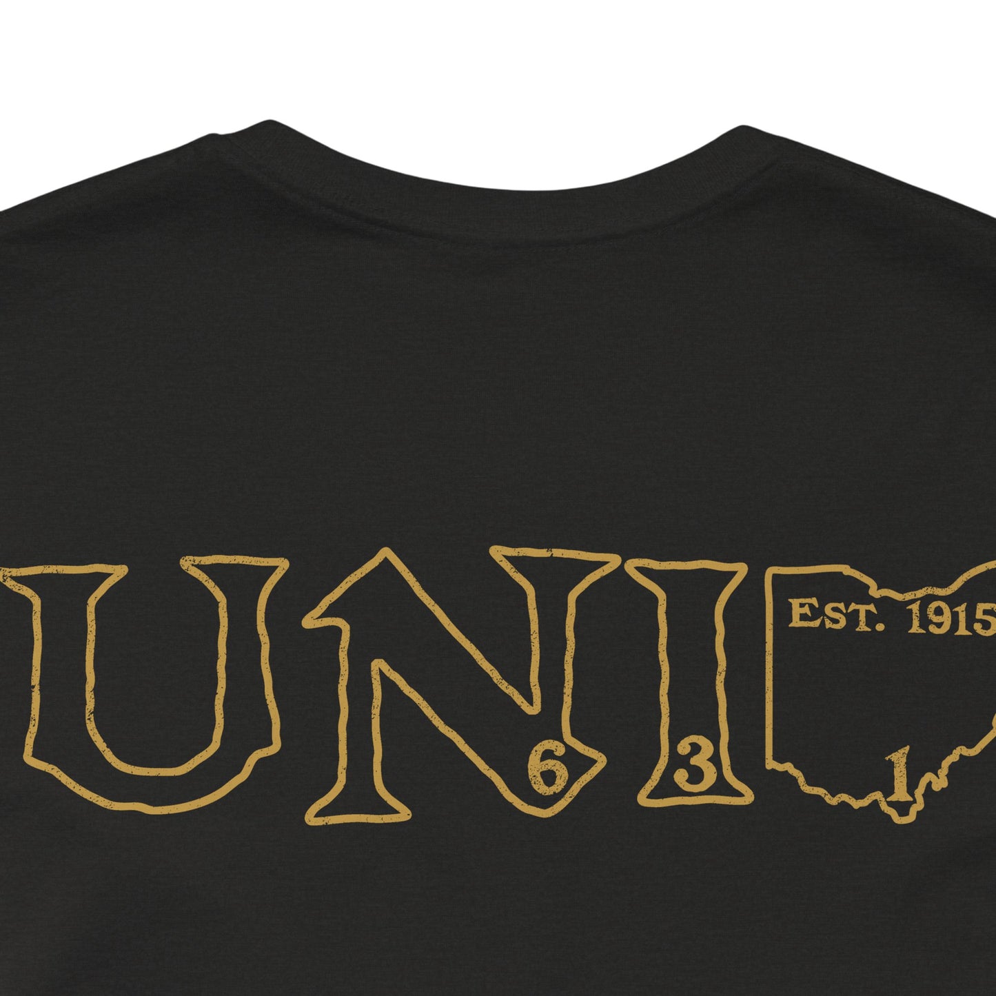 University Lodge 631 Design on back