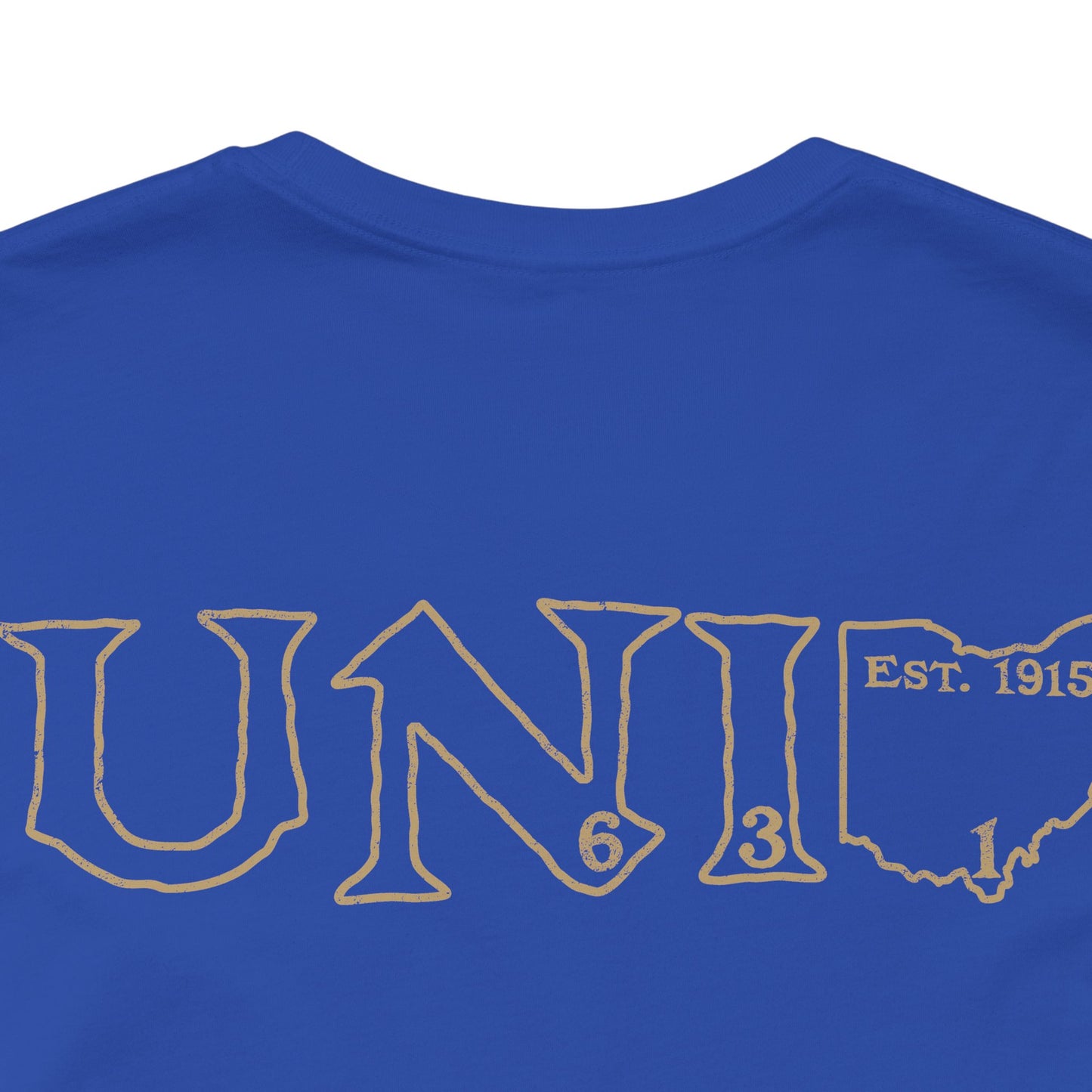 University Lodge 631 Design on back